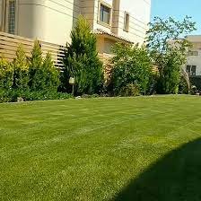 ثيل طبيعي الدمام-تركيب عشب طبيعي الدمام0542719923 عاععت