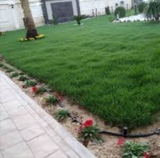 ثيل طبيعي الدمام-تركيب عشب طبيعي الدمام0542719923 غتغت
