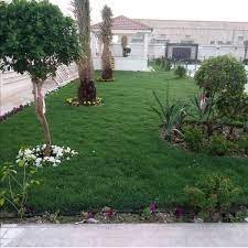 ثيل طبيعي الدمام-تركيب عشب طبيعي الدمام0542719923 فبف
