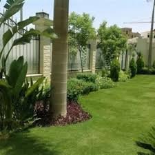 ثيل طبيعي الدمام-تركيب عشب طبيعي الدمام0542719923 ىىىىى